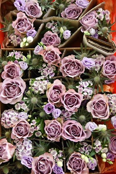 Hochzeitsvorbereitung - Blumen in der Kiste
