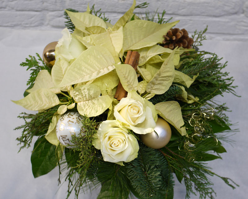 Weihnachtsstern - ein festlicher Blumengru Frohe Weihnachten