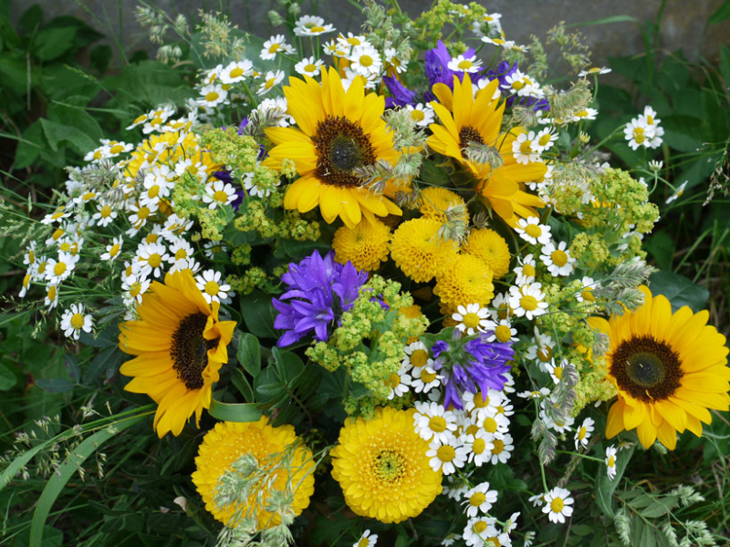 Blumenstrauss mit Sonnenblume, Minigerbera, Kamille, Campanula