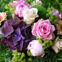 rosa violett Blumenstrauss mit Hortensie, Rosen, Gerbera, Bauernrosen