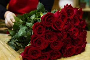 Blumenstrauss rote Rosen, Blumenladen in Kiel