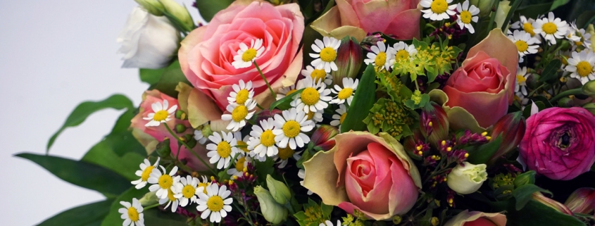 Rosenglück mit rosa Rosen, Kamille und Ranunkel, Latifolia