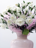 weiße Nelken in hellrosa Vase