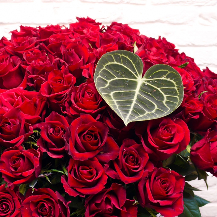 rote Rosen zum Valentinstag, ca. 70 cm, große Blüte, Lieferung in Kiel