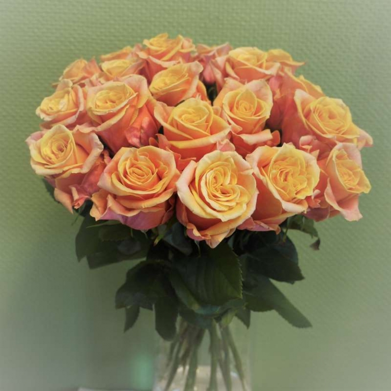 40+ Blumenstudio Kleine Rose, Bewertungen, kontaktdaten für