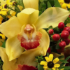 Blüte der gelben Orchidee im Blumenstrauß aus dem Blumenladen Kolberger in Kiel