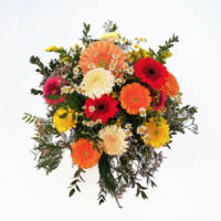 Blumenstrauß rund gebunden mit Gerbera in den Farben Creme, Gelb, Orange, Rot und Kamille