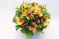 Blumenstrauß rund gebunden mit gelben Orchideen und Hypericum