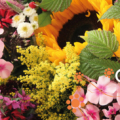 Geschenk Blumen - Gutschein aus Kiel vom Meisterflorist Kolberger im Online Shop