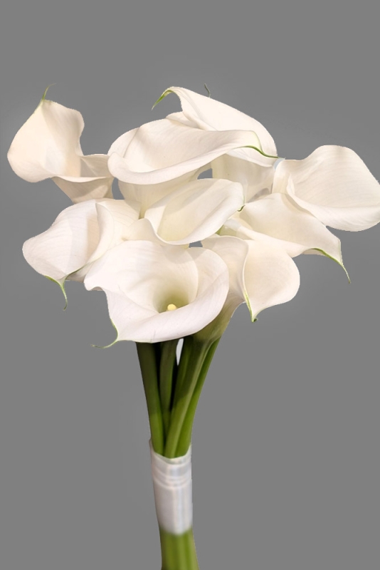 Moderner Hochzeitsstrauß mit weißer Calla