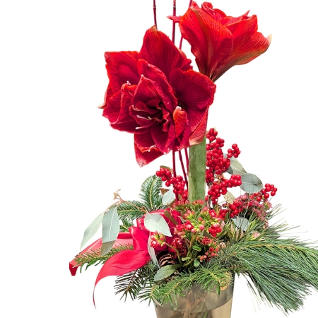 Rote Amaryllis lang gebunden mit rotem Hartriegel