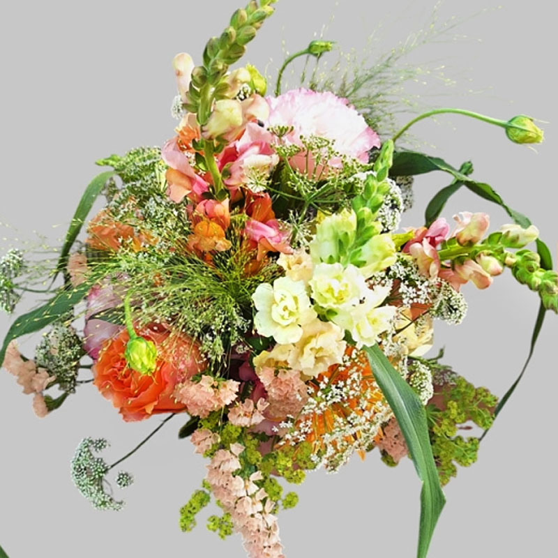 Brauststrauss aus Kiel