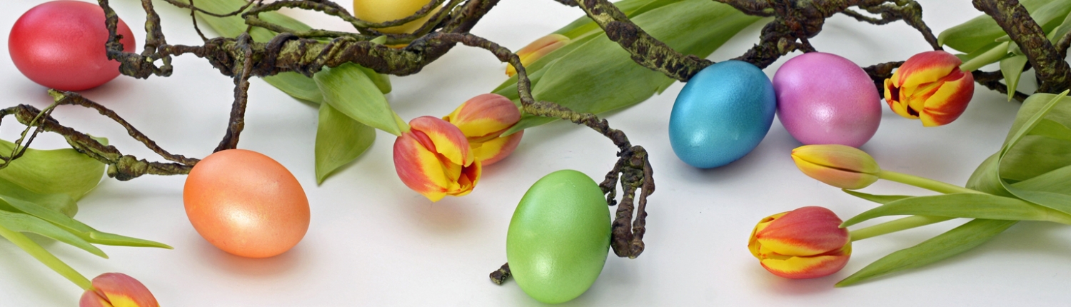 Frohe Ostern wünscht das BlumenStudio Kolberger