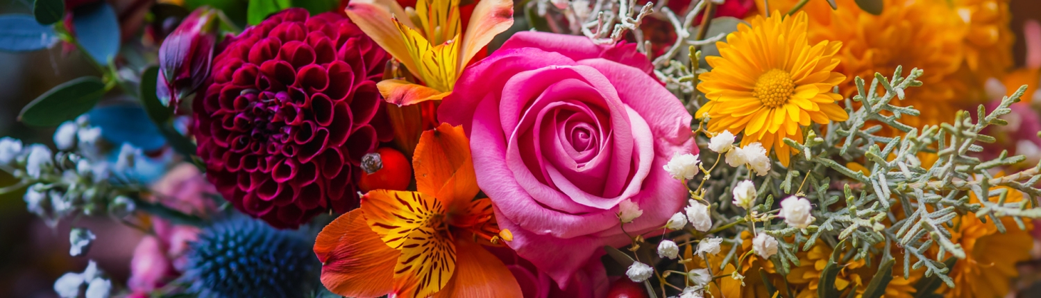 Blüten Dahlie Rose Alstromerie